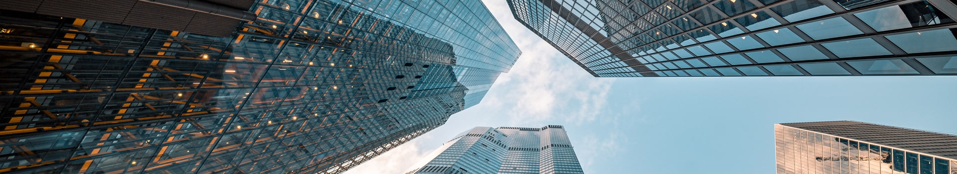 BUSINESS AREAS