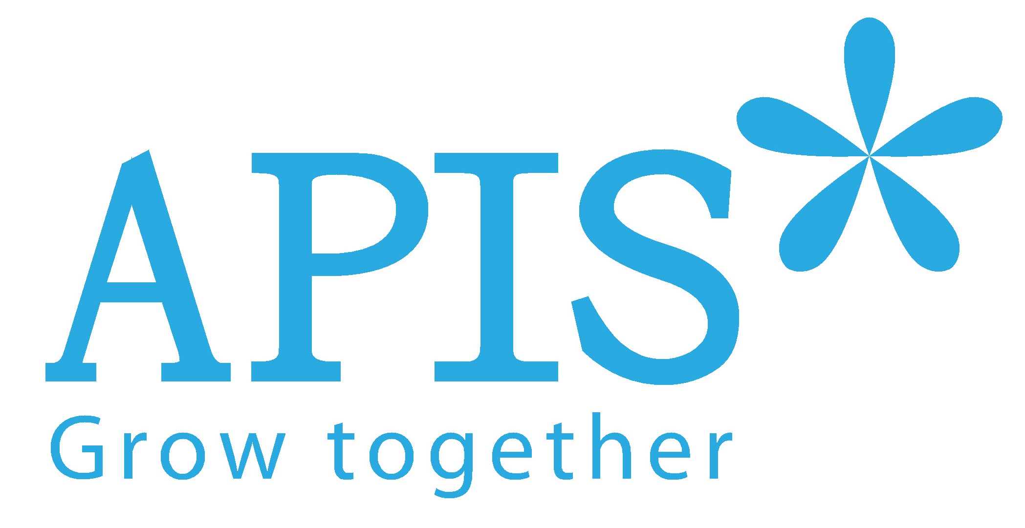APIS CORPORATION - APIS