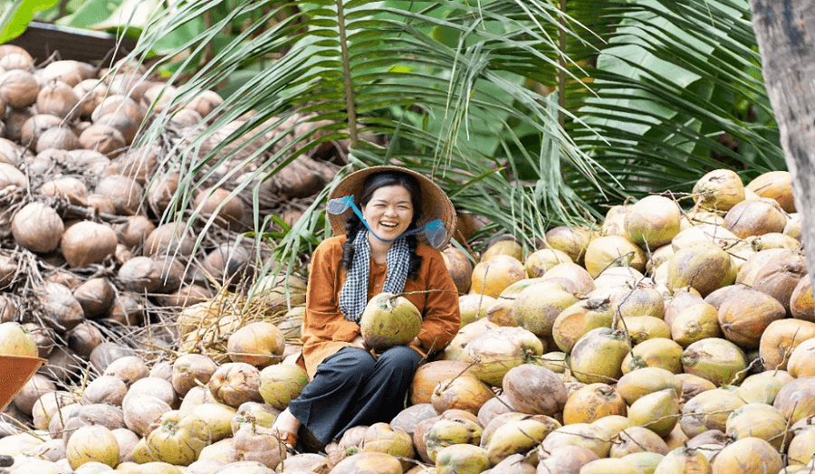 DỪA VIỆT VÀ HÀNH TRÌNH NÂNG CAO CHUỖI GIÁ TRỊ CỦA DOANH NGHIỆP TIÊN PHONG