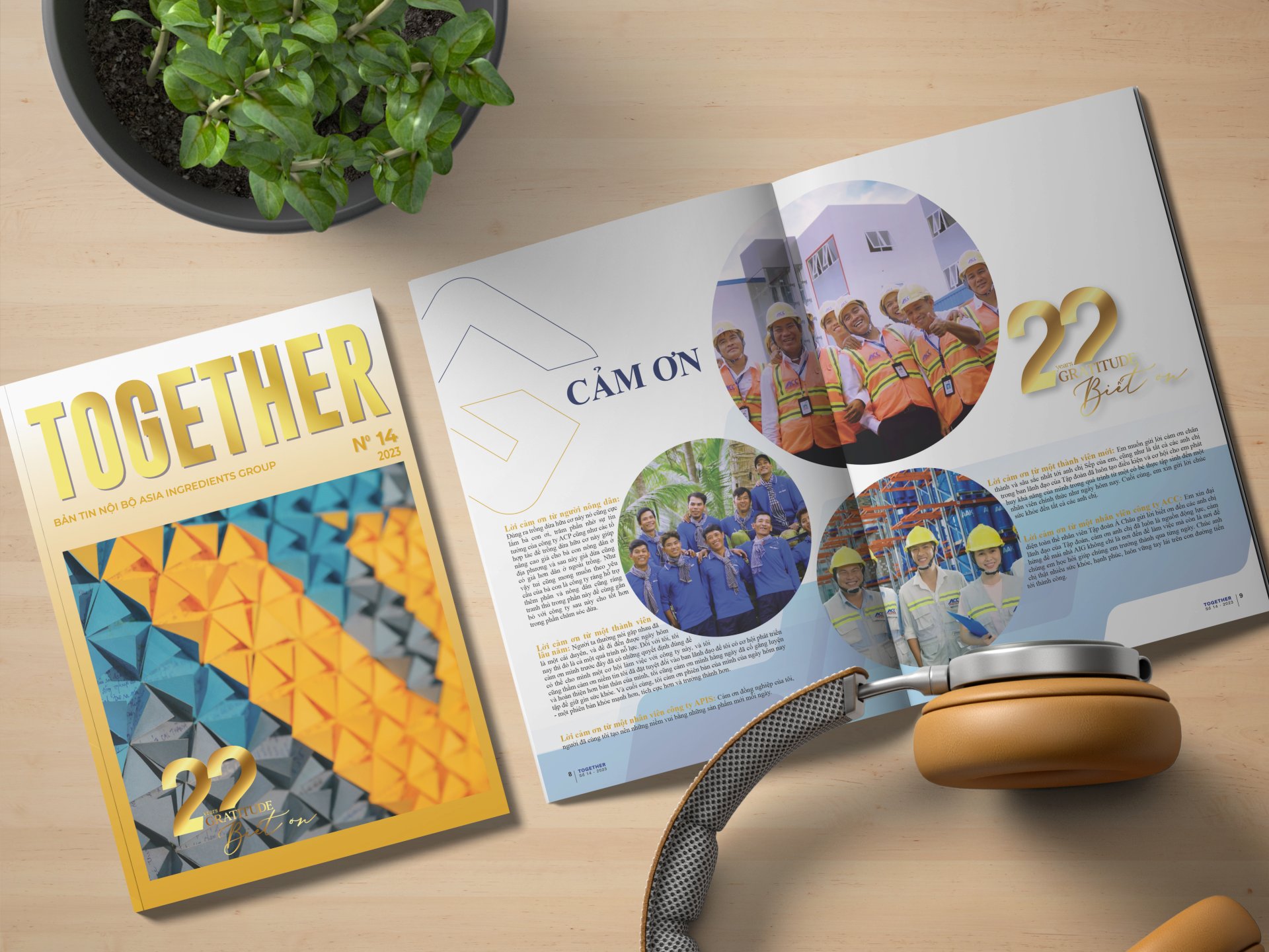 TẬP SAN TOGETHER SỐ 14 - 22 YEARS GRATITUDE